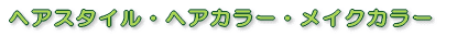 ヘアスタイル・ヘアカラー・メイクカラー